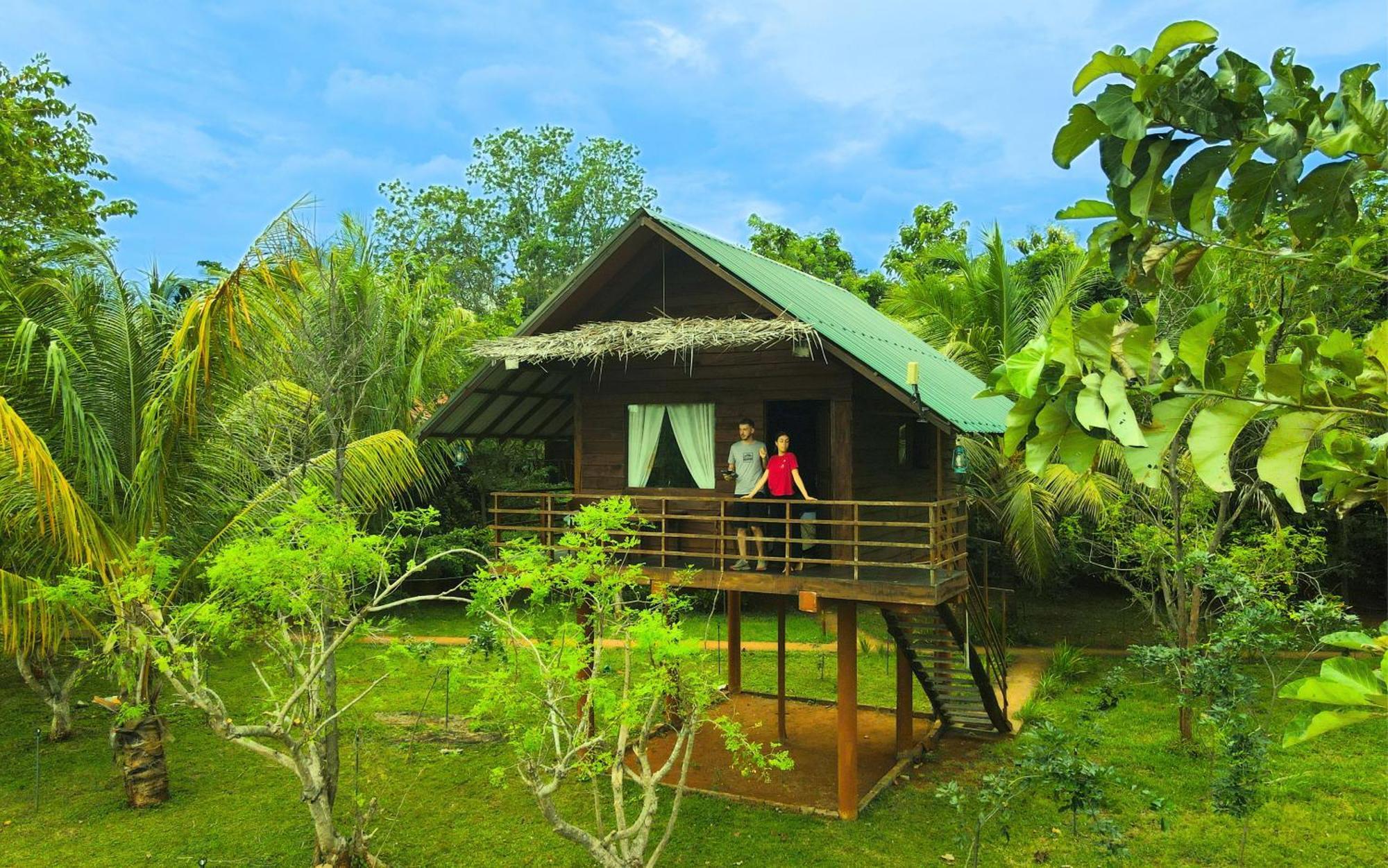 Chena Huts Eco Resort シギリヤ エクステリア 写真